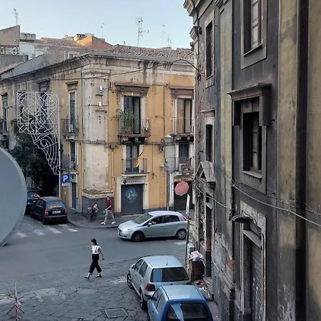Ciuri Tuttu L'annu