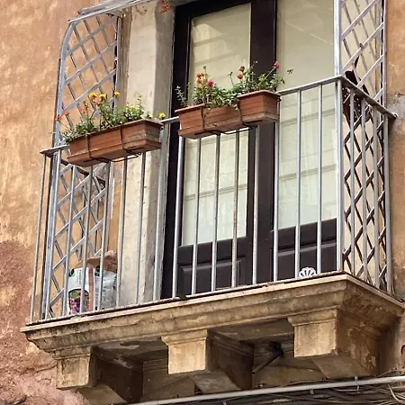 Guest house Ciuri Tuttu L'annu Catania
