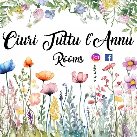 Ciuri Tuttu L'annu Catane