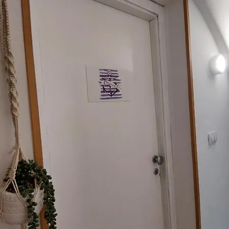 Ciuri Tuttu L'annu 3*